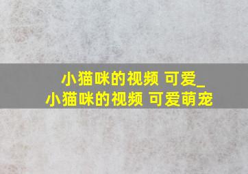 小猫咪的视频 可爱_小猫咪的视频 可爱萌宠